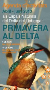 Imatge de complement