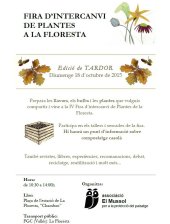 Imatge de complement