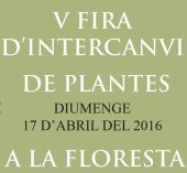 Imatge de complement