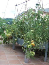 Imatge de complement Imatge de complement