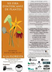 Imatge de complement