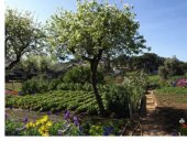 Agricultura ecològica
