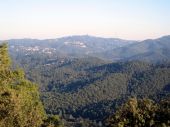 Parc de Collserola