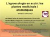 Imatge de complement