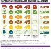 Foto de la Galeria