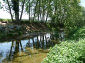 Riera Sant Cugat